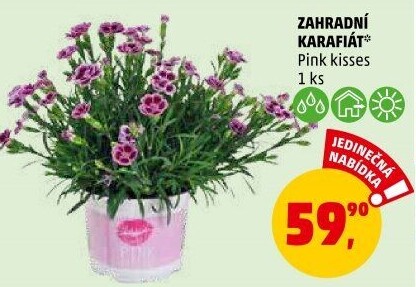 Karafiát
