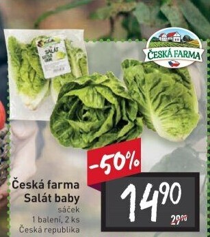 Salát baby Česká farma