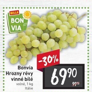 Hrozny bílé Billa Bonvia