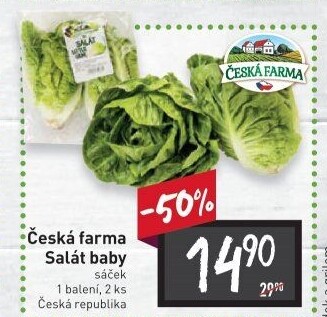 Salát baby Česká farma