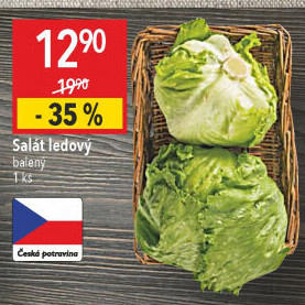 Salát ledový