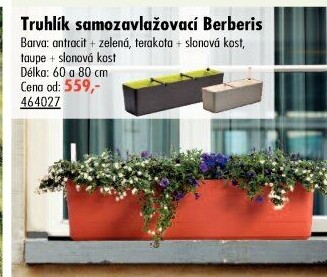 Samozavlažovací truhlík Berberies Plastia