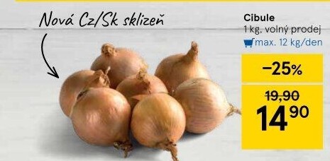 Cibule kuchyňská žlutá
