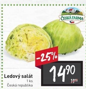Salát ledový Česká farma