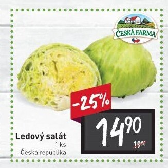 Salát ledový Česká farma