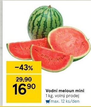Meloun vodní Baby