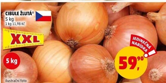 Cibule kuchyňská žlutá