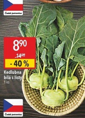 Kedlubna bílá