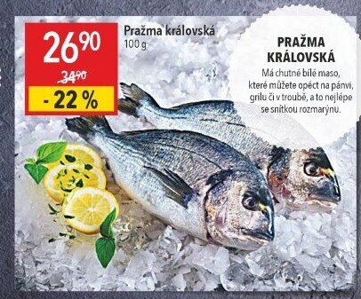Pražma královská