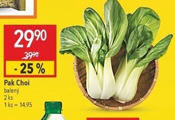 Salát Pak Choi