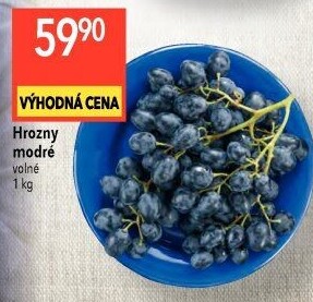 Hrozny modré