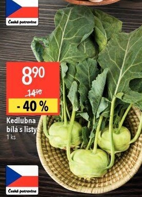 Kedlubna bílá