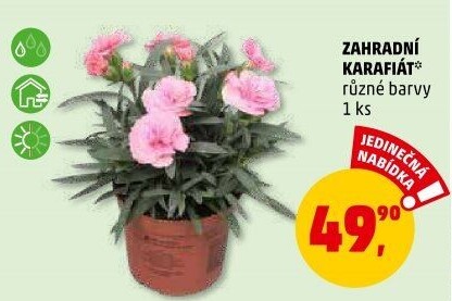 Karafiát