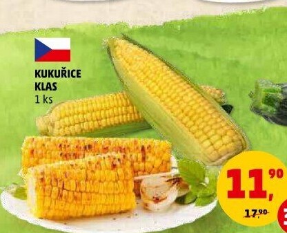Kukuřice klas