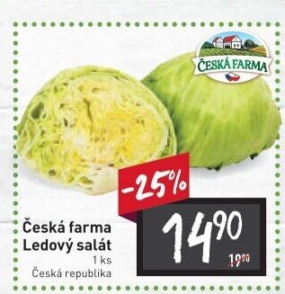 Salát ledový Česká farma