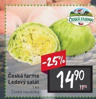 Salát ledový Česká farma