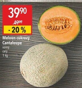 Meloun Cantaloupe