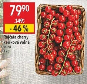 Rajčata cherry keříková