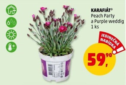 Karafiát