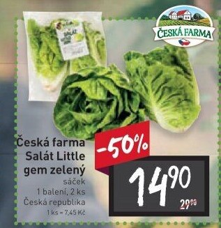 Salát little gem Česká farma