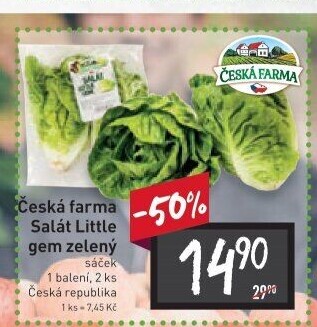 Salát little gem Česká farma