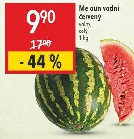 Meloun vodní