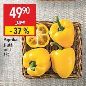 Paprika žlutá