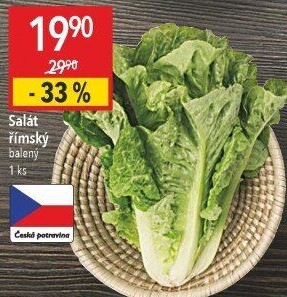 Salát římský