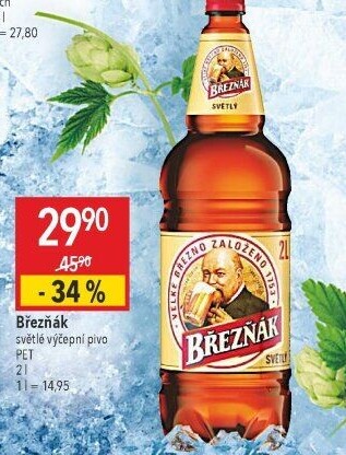 Pivo světlé výčepní 10° Březňák