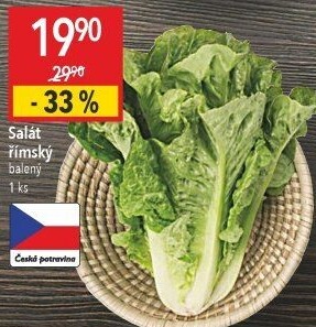 Salát římský