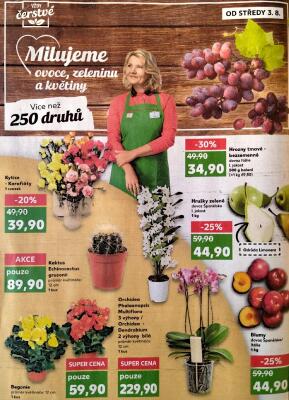 akční leták Kaufland 3.8.2022-9.8.2022