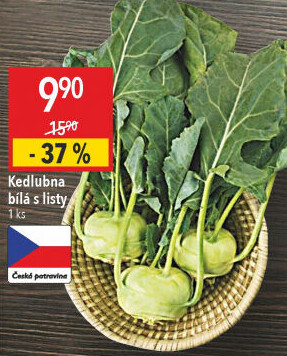 Kedlubna bílá