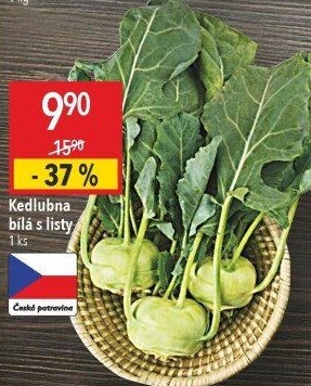 Kedlubna bílá