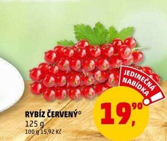 Rybíz červený