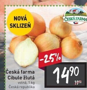 Cibule žlutá Česká Farma