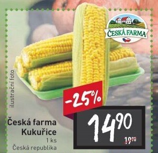 Kukuřice klas Česká farma