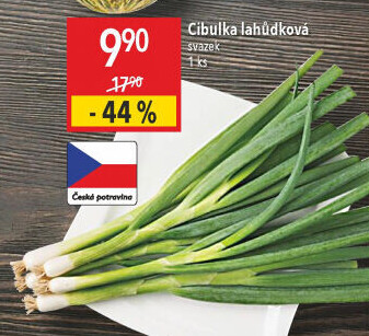 Jarní cibule svazek