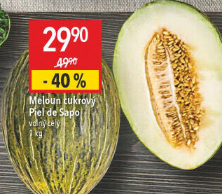 Meloun Piel de Sapo