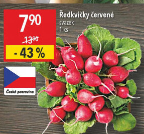 Ředkvičky svazek