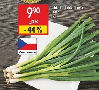 Jarní cibule svazek