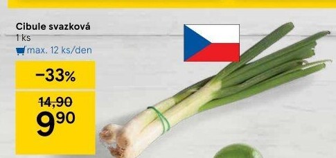 Jarní cibule svazek