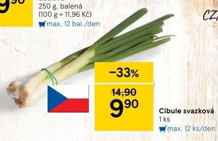 Jarní cibule svazek