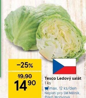 Salát ledový Tesco