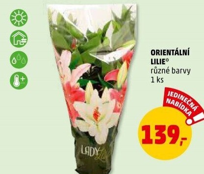 Lilie