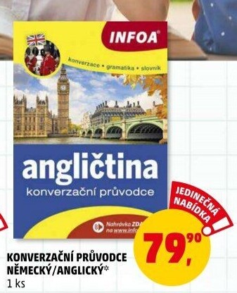 Kniha Konverzační průvodce: Angličtina Infoa