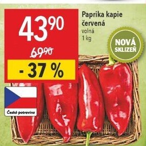 Paprika červená kapie