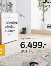 BOTNÍK