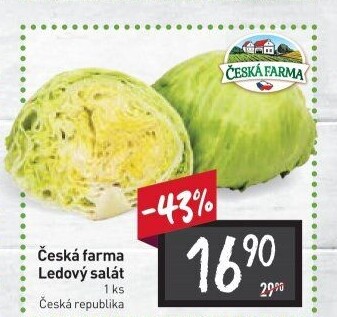 Salát ledový Česká farma