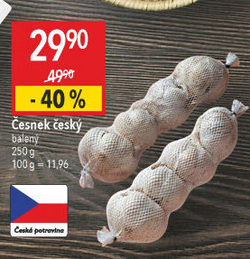 Česnek český
