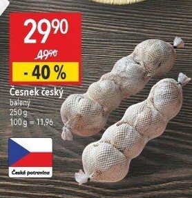 Česnek český